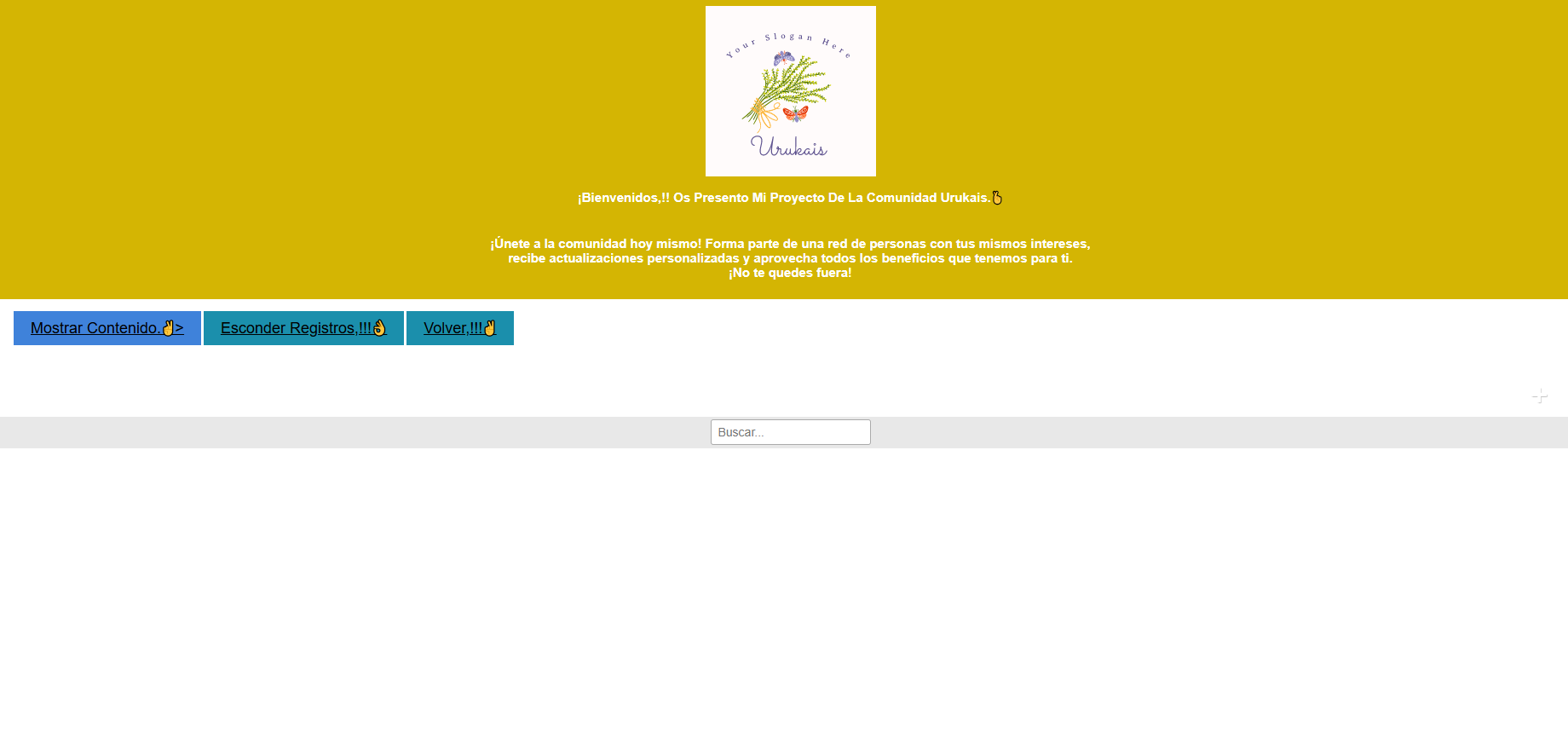 CSS3 logo